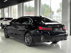 BMW 3 Series 320Li M Sport Package - фото 6