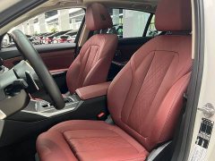 BMW 3 Series 2023 325Li M Sports Night Package - фото 9