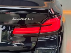 BMW 5 Series Facelift 530Li Exclusive M Sports Package - фото 18