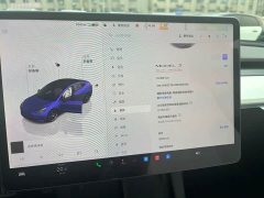 Tesla Model 3 Performance high-performance all-wheel drive version - фото 6