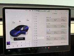 Tesla Model 3 Performance high-performance all-wheel drive version - фото 8