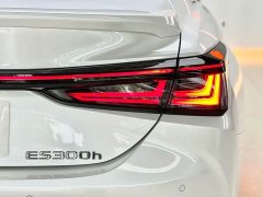 Lexus ES 300h Premium Edition - фото 18