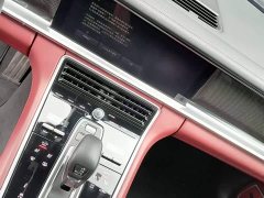 Porsche Panamera 2.9T Platinum Edition - фото 3