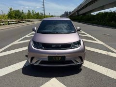 BYD Dolphin 420km Free Edition - фото 2