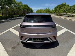 BYD Dolphin 420km Free Edition - фото 8