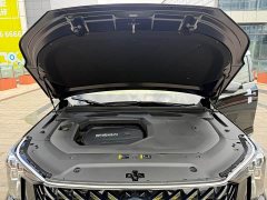 GAC Trumpchi GS8 2022 Pilot Series 2.0TGDI 2WD Premium (7-Seater) - фото 11