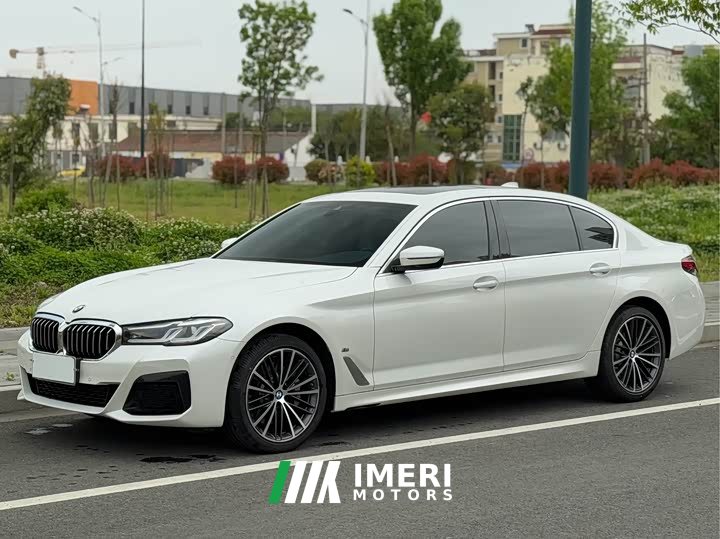 BMW 5 Series 530Li leading M sports package - автомобиль из Китая