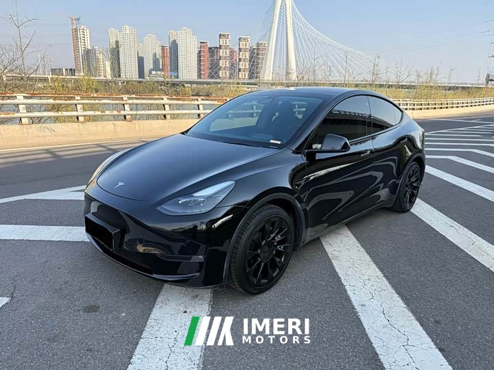 Tesla Model Y standard range rear-wheel drive version - автомобиль из Китая