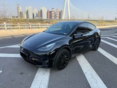 Tesla Model Y standard range rear-wheel drive version - фото 1