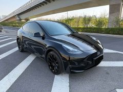 Tesla Model Y standard range rear-wheel drive version - фото 3