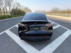 Tesla Model Y standard range rear-wheel drive version - фото 8