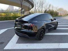 Tesla Model Y standard range rear-wheel drive version - фото 9