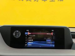 Lexus ES 2020 300h Premium Edition - фото 18