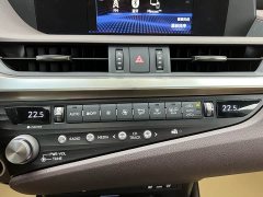 Lexus ES 2020 300h Premium Edition - фото 19