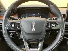 BMW Aviator 2023 3.0T V6 four-wheel drive exclusive cruise version, six seats - фото 11