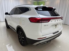 Haval H6 2021 Guochao Edition 1.5T Automatic Urban Edition - фото 6