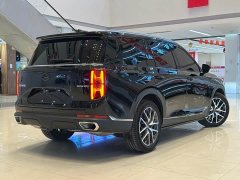 Trumpchi GS8 Pilot Series 2.0TGDI two-wheel drive luxury version 5 seats - фото 5