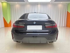 BMW 3 Series 320Li M Sport Package - фото 6