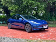 Tesla Model 3 Standard Range Rear Drive Upgraded Version - фото 3