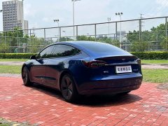 Tesla Model 3 Standard Range Rear Drive Upgraded Version - фото 6