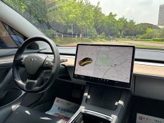 Tesla Model 3 Standard Range Rear Drive Upgraded Version - фото 9