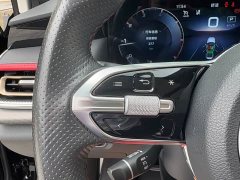 Hongqi H6 2.0T Zhiyi Edition - фото 20