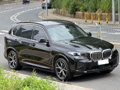 BMW X5 xDrive 30Li Exclusive M Sports Night Package - фото 6