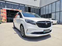 Buick GL8 2022 ES Luzun 653T luxury - фото 3