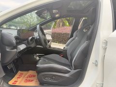 Trumpchi Shadow Leopard 400T Automatic Shadow Leopard R PRO Edition - фото 7