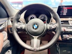 BMW X1 xDrive25Li Luxury Line - фото 8