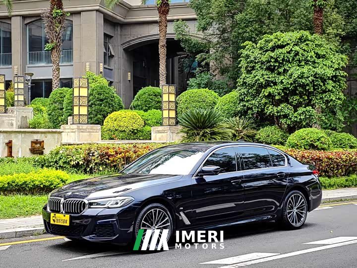 BMW 5 Series 530Li Leading M Sports Package - автомобиль из Китая