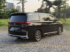 Trumpchi M8 Lead Show Series 390T Exclusive Edition - фото 11