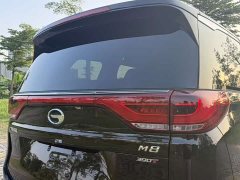 Trumpchi M8 Lead Show Series 390T Exclusive Edition - фото 15
