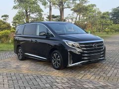 Trumpchi M8 Lead Show Series 390T Exclusive Edition - фото 3
