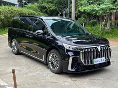 Voyah Lantu Dreamer PHEV ultra-long battery life flagship version - фото 3