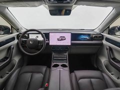 Lynk & Co Leapmoon C11 Extended Range 300 Exclusive Edition - фото 9