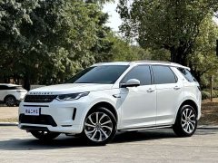 Lexus Discovery Sport 2023 249PS R-Dynamic S Performance Edition - фото 1