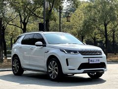 Lexus Discovery Sport 2023 249PS R-Dynamic S Performance Edition - фото 3