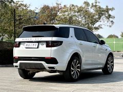 Lexus Discovery Sport 2023 249PS R-Dynamic S Performance Edition - фото 8