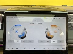 Trumpchi M8 2024 Master Series 400T Extreme Edition - фото 19