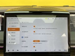 Trumpchi M8 2024 Master Series 400T Extreme Edition - фото 20