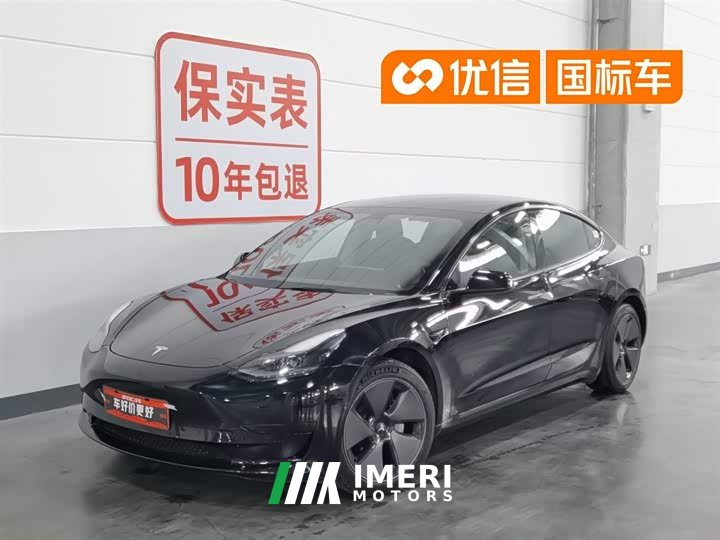 Tesla Model 3 rear-wheel drive version - автомобиль из Китая