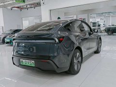 Tesla Model Y rear-wheel drive version - фото 20