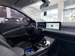 Lynk & Co Nezha U Pro 500 Moon Edition - фото 13