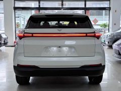 Lynk & Co Nezha U Pro 500 Moon Edition - фото 6