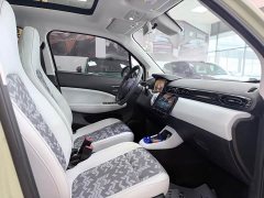 Lynk & Co Leapmoo T03 Star Diamond Edition - фото 12