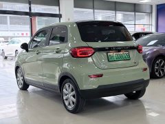 Lynk & Co Leapmoo T03 Star Diamond Edition - фото 6