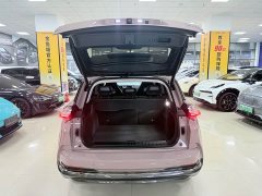 Lynk & Co Nezha U Zhi 500 Lithium Iron Phosphate - фото 10