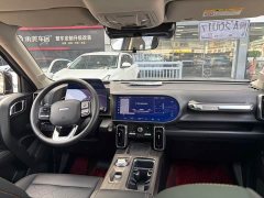 Haval Big Dog 1.5T DCT Border Collie Edition - фото 11