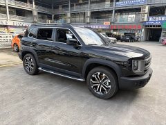 Haval Big Dog 1.5T DCT Border Collie Edition - фото 3